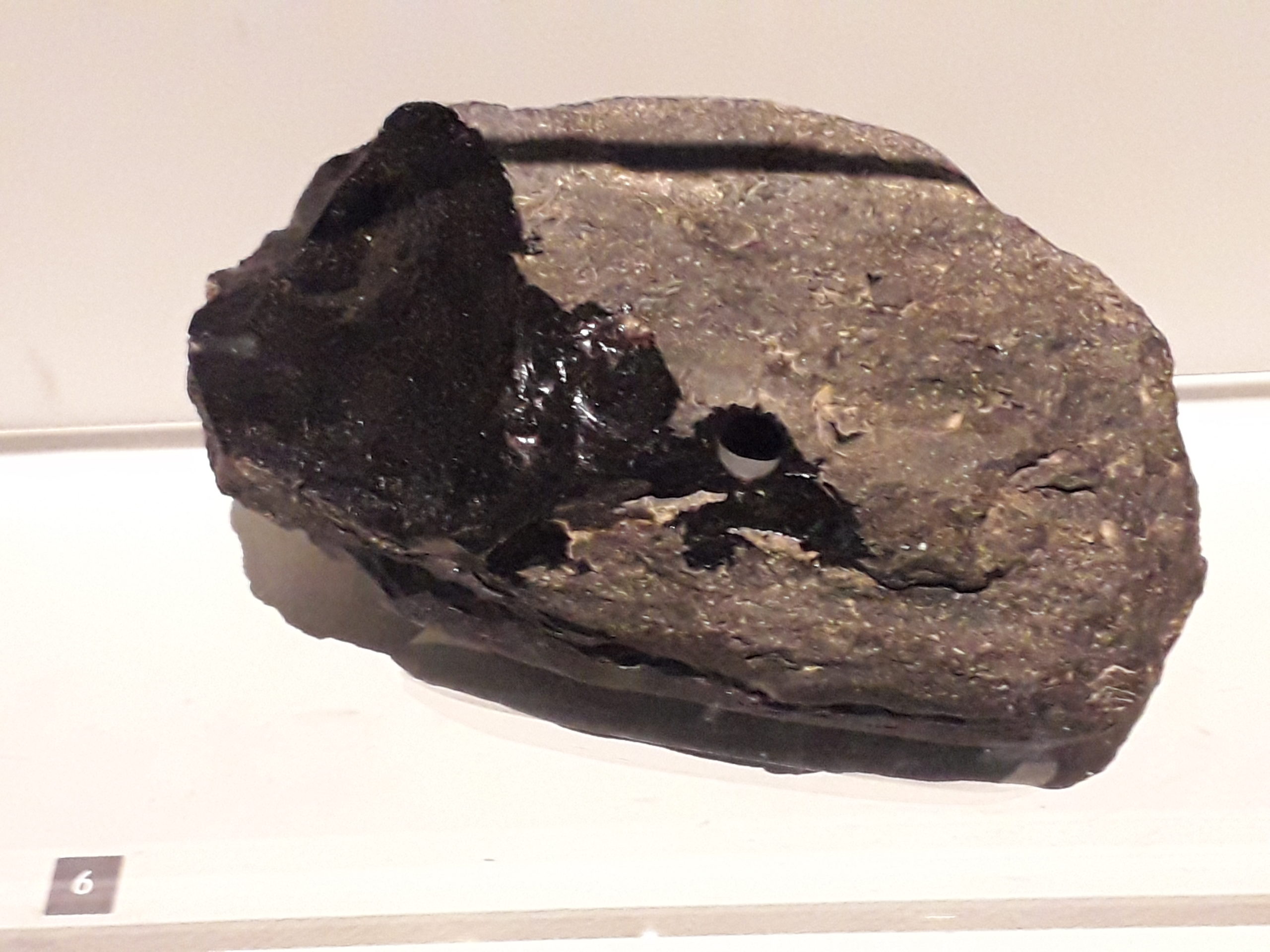 Indochinite percée dite pierre sacrée, tectite d'Asie du Sud-Est, exposée au Muséum de Paris