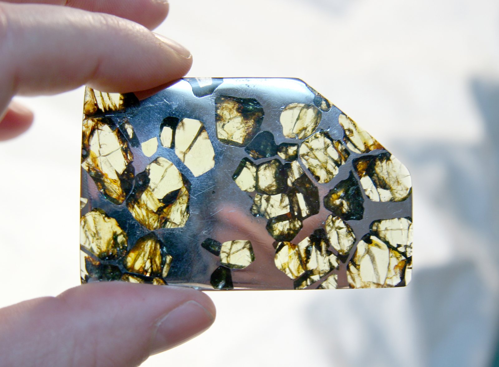 Tranche polie de la pallasite Esquel tenue à contre-jour, olivines translucides dans le métal