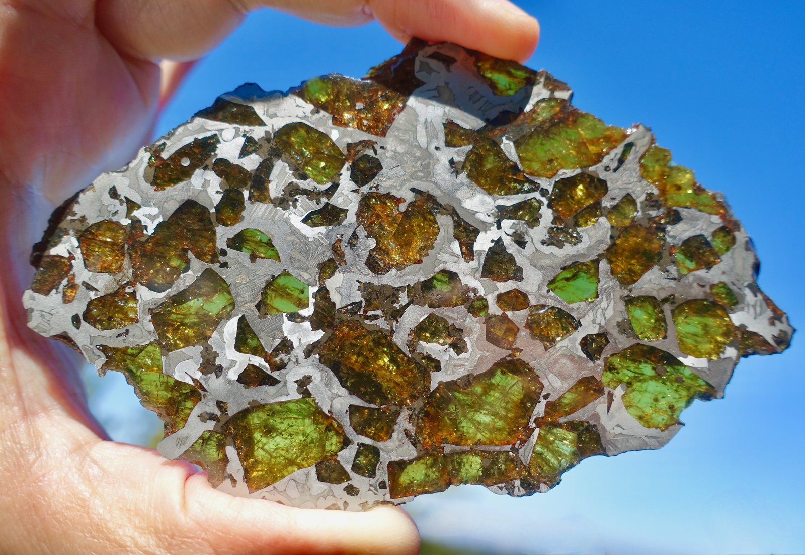 Tranche de pallasite à contre-jour, cristaux d'olivine translucides dans le réseau métallique fer-nickel