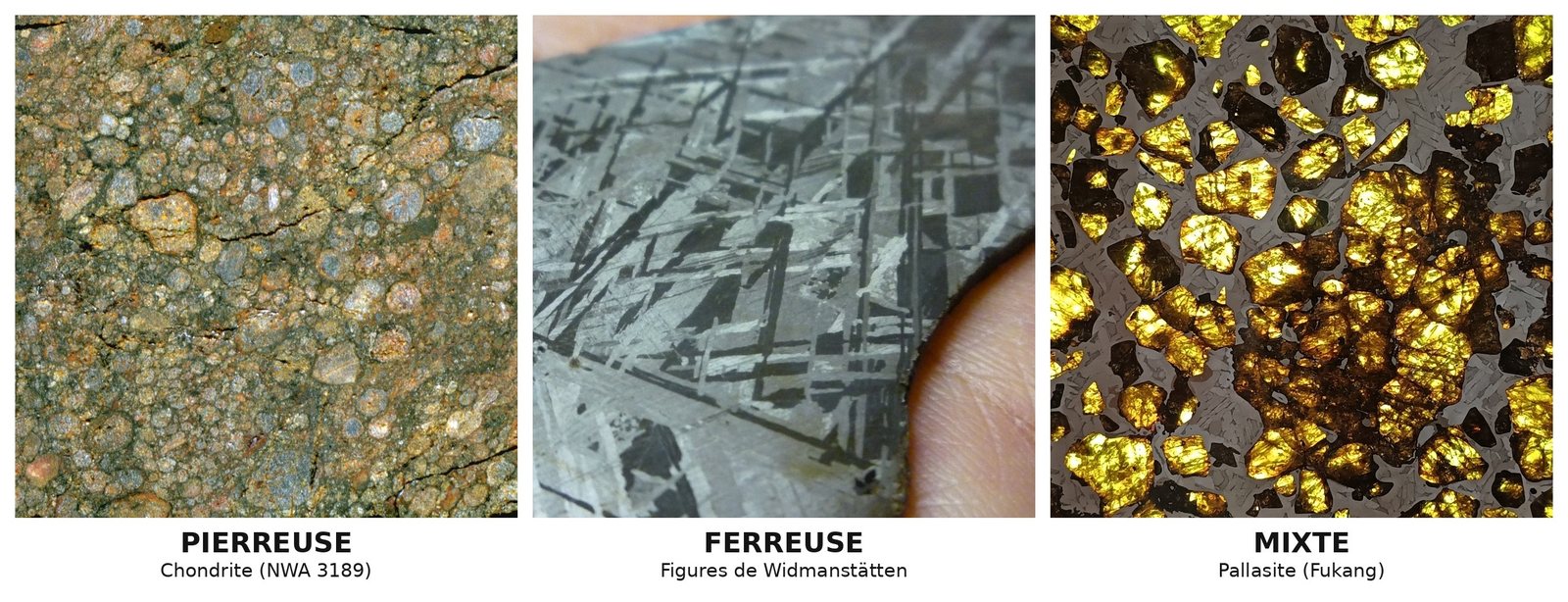 Trois coupes de météorites côte à côte : chondrite pierreuse, fer à figures de Widmanstätten, pallasite mixte