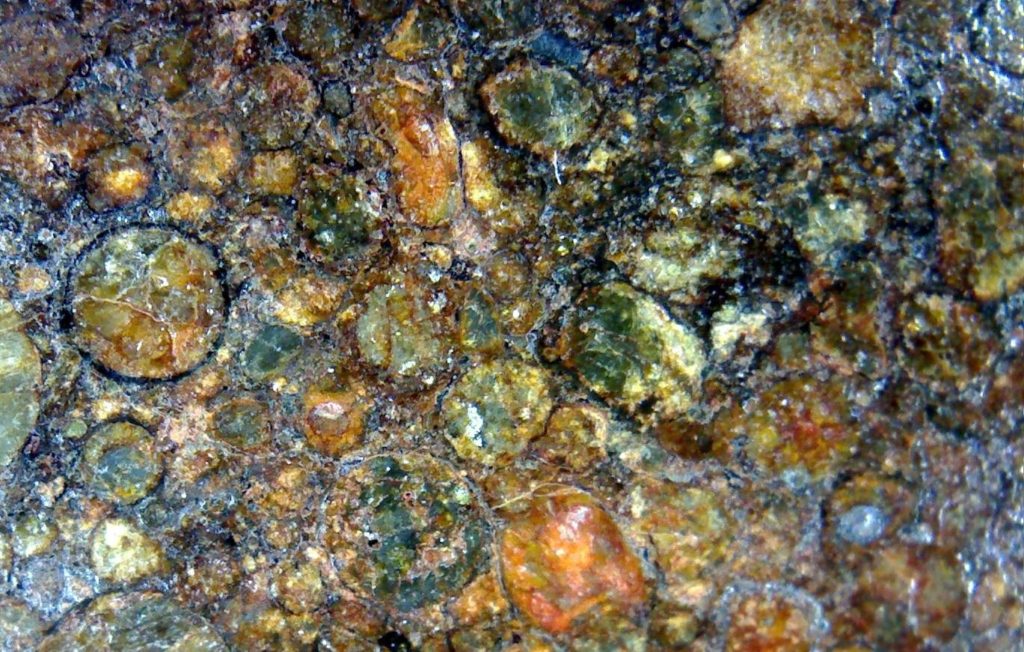 Chondres sphériques millimétriques d’une météorite observés au microscope sur tranche