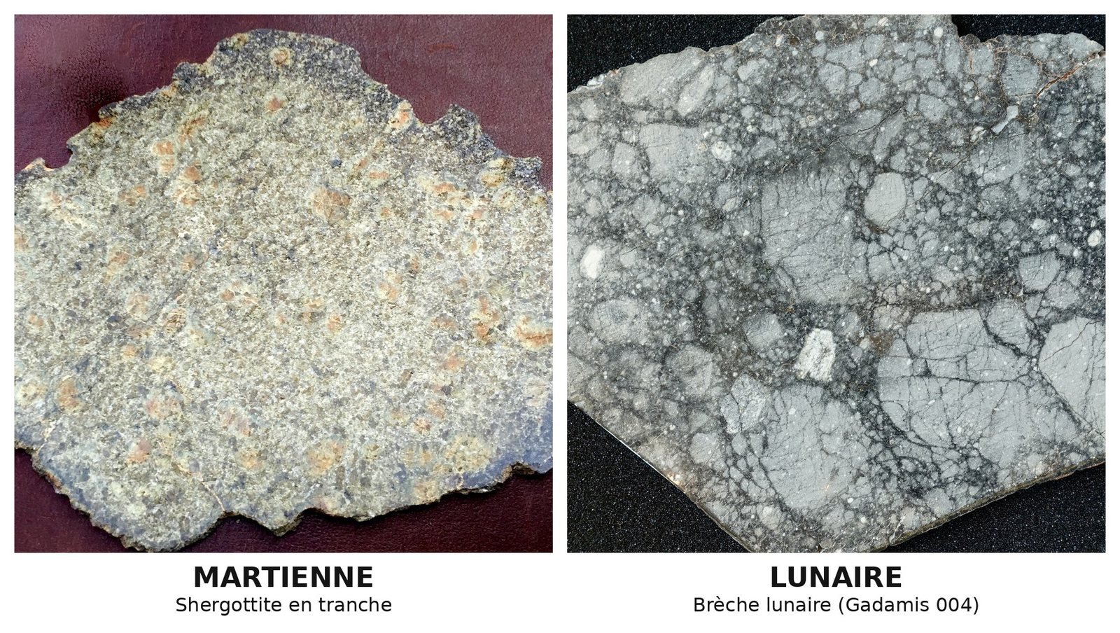Tranche de météorite martienne et tranche de brèche lunaire Gadamis 004 côte à côte