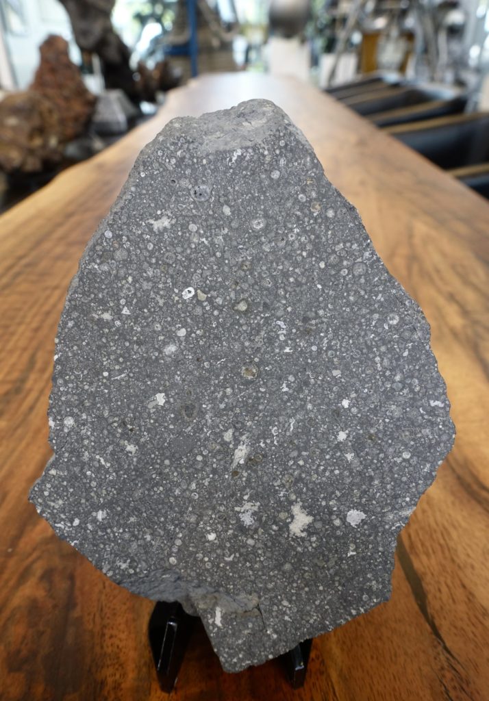 Grande plaque de la météorite Allende, chondrite carbonée aux chondres et inclusions blanches visibles