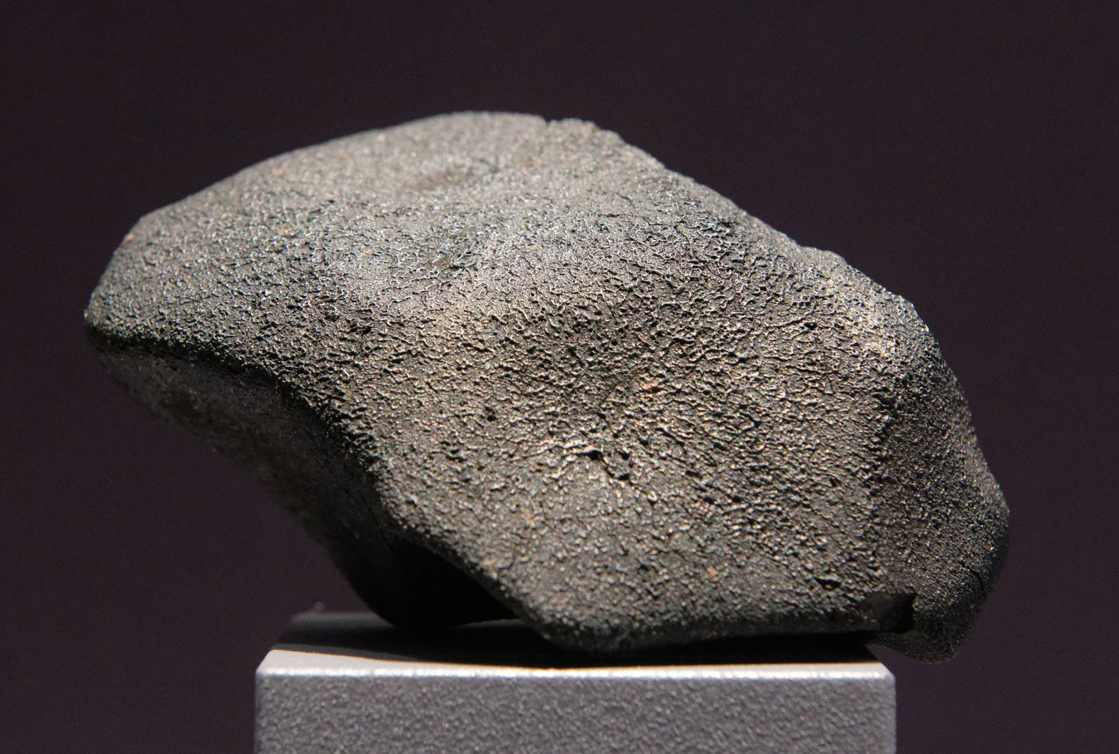 Spécimen de la météorite Murchison à croûte de fusion noire, chondrite carbonée exposée au Muséum de Paris