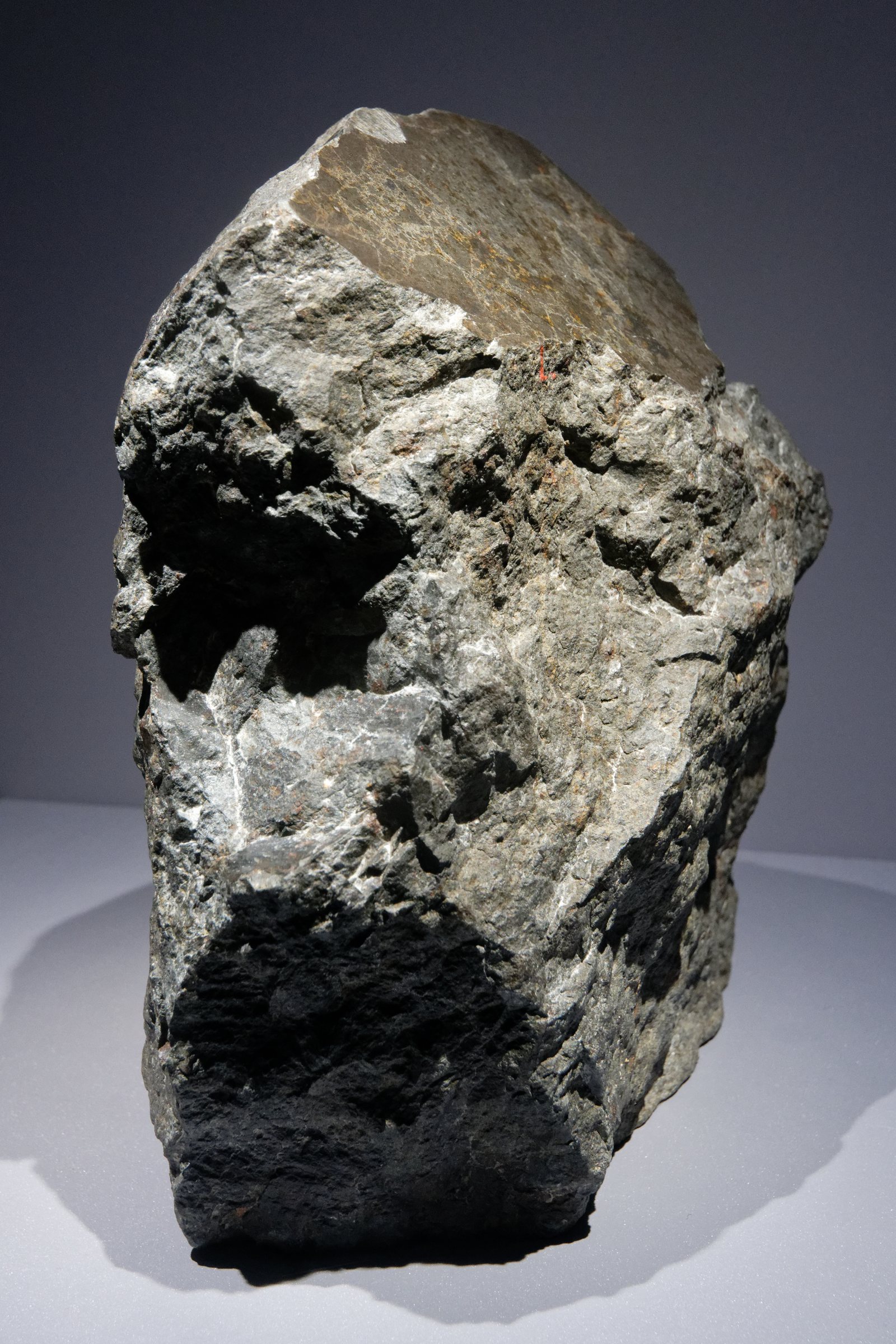 Fragment de la météorite d'Ensisheim tombée en 1492, exposé au Muséum de Paris