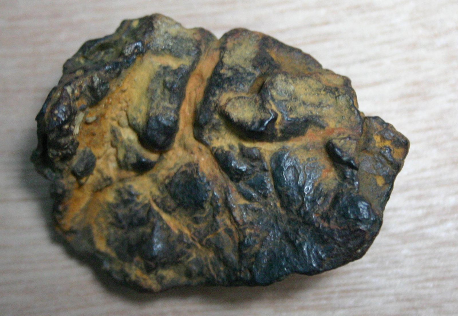 Individu de la météorite Nantan à la surface oxydée noire et ocre
