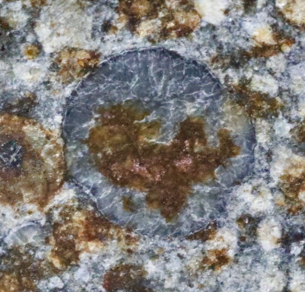 Macro d'un chondre entouré de sa matrice sur une tranche de la chondrite NWA 869