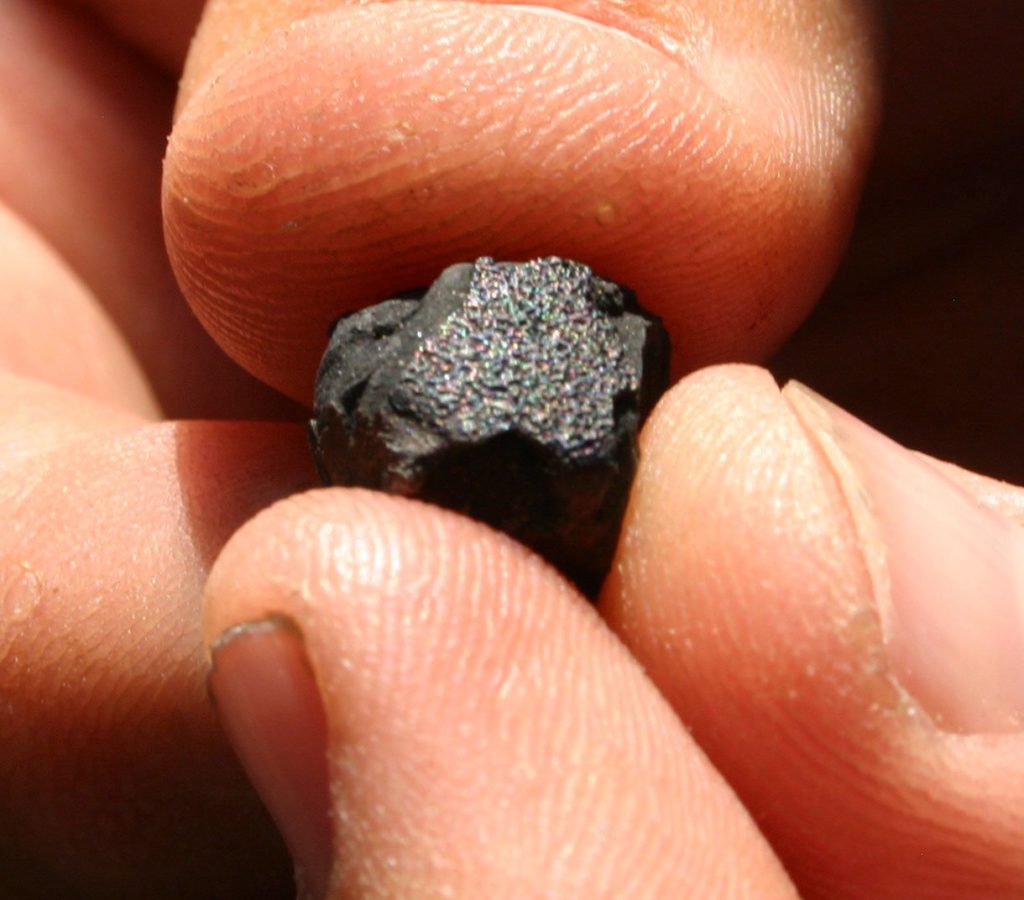 Petit fragment de la météorite Sutter's Mill à croûte de fusion irisée, tenu entre deux doigts