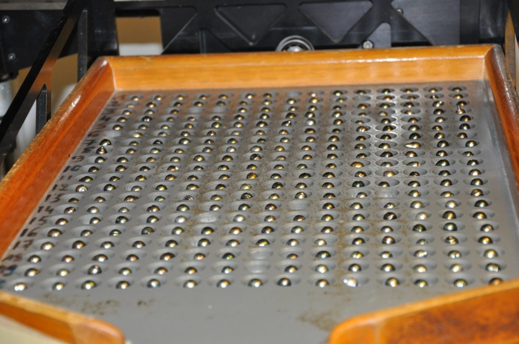Calibrage de perles de Tahiti sur un plateau