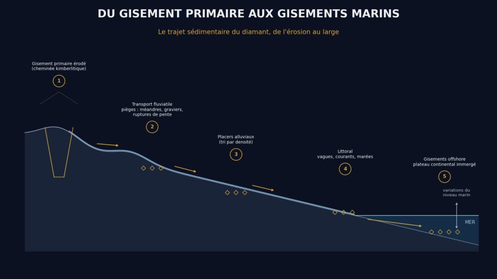 Schéma sur fond sombre du parcours des diamants après érosion de la kimberlite : transport fluvial, concentration dans les pièges des rivières, placers littoraux, puis plateau continental immergé.