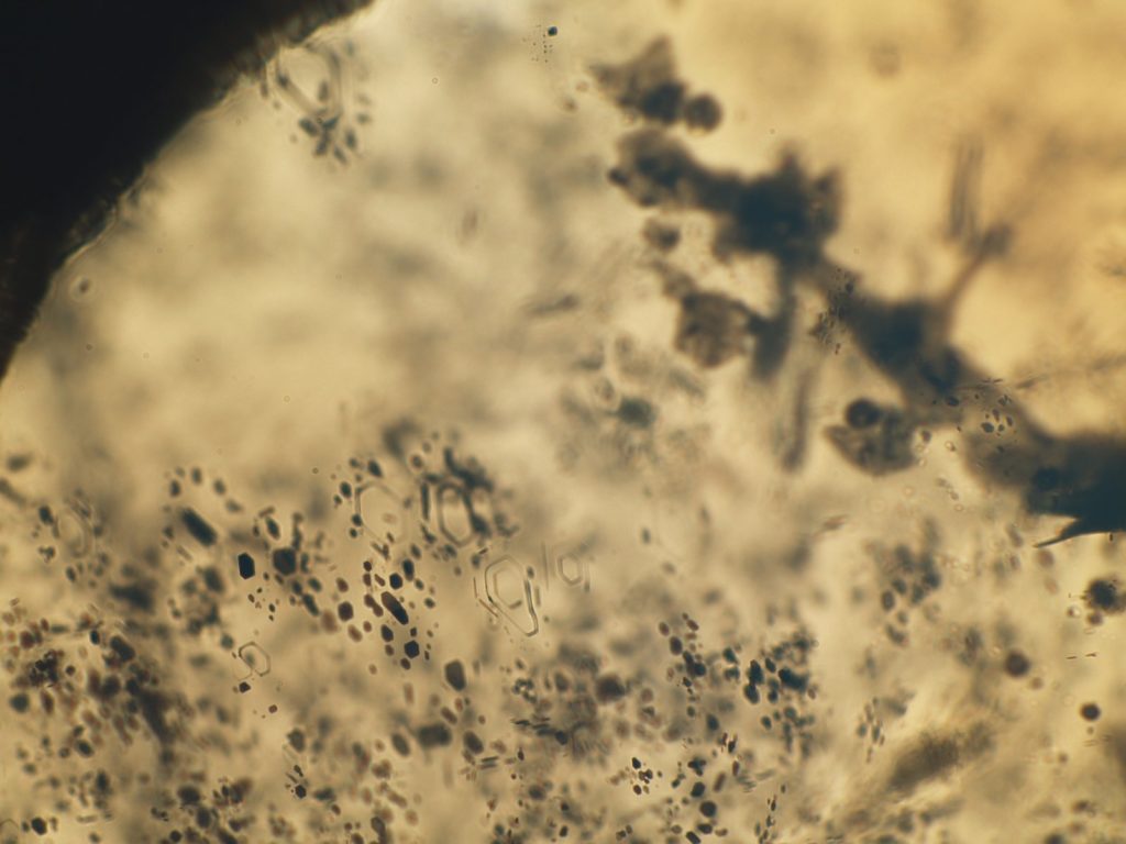Photomicrographie d’un nuage de micro-inclusions sombres dans un diamant