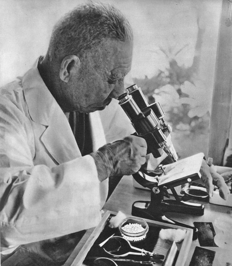Kokichi Mikimoto examinant des perles au microscope