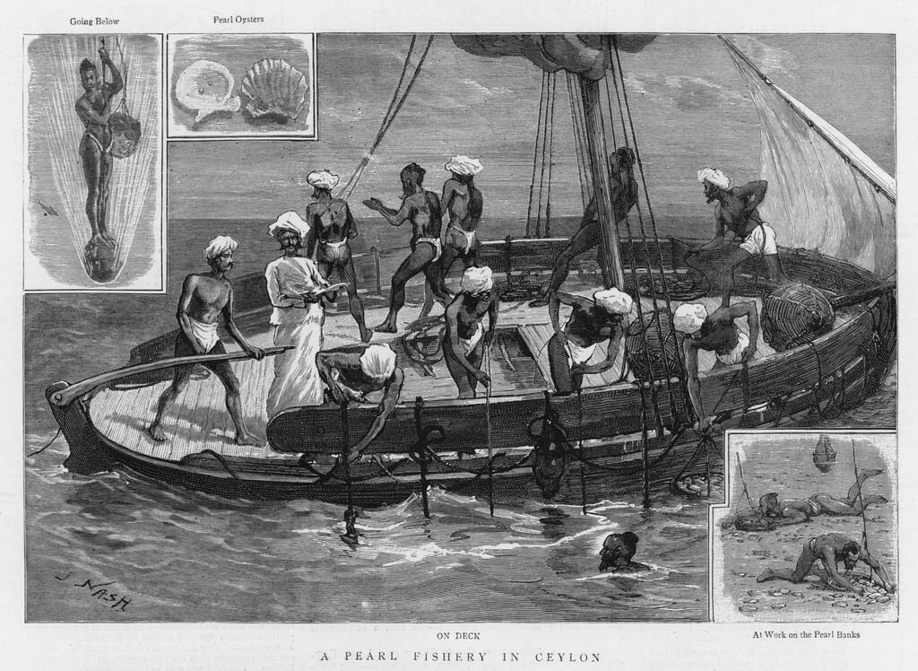 Gravure de 1887 montrant une pêcherie de perles à Ceylan