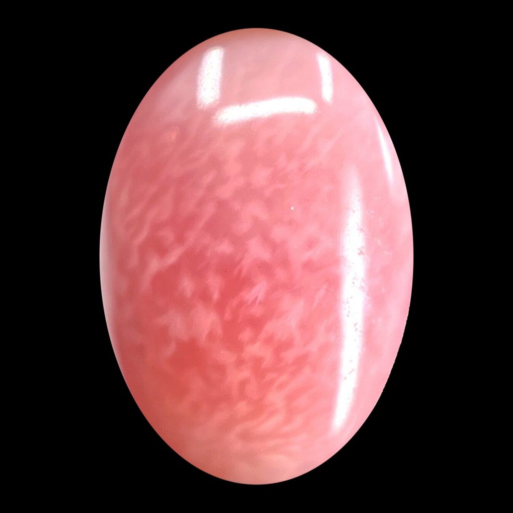 Perle de conque rose de forme ovale