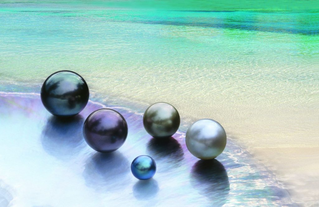 Perles de culture de Tahiti présentées au bord du lagon